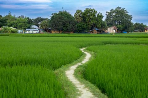 ১০ শতক জমি বিক্রি — ঢাকা-সিলেট মহাসড়কের পাশে